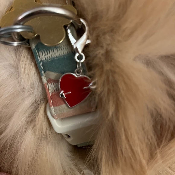 ❤️Valentine heart pet charm - Picture 1 of 7